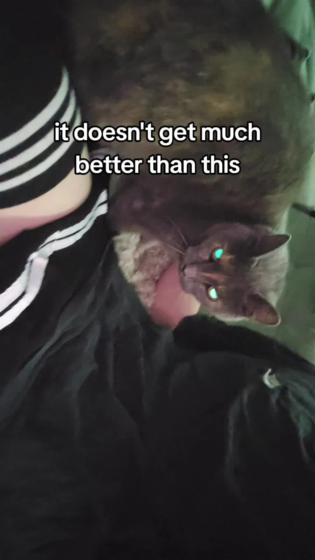 @Ollie <3