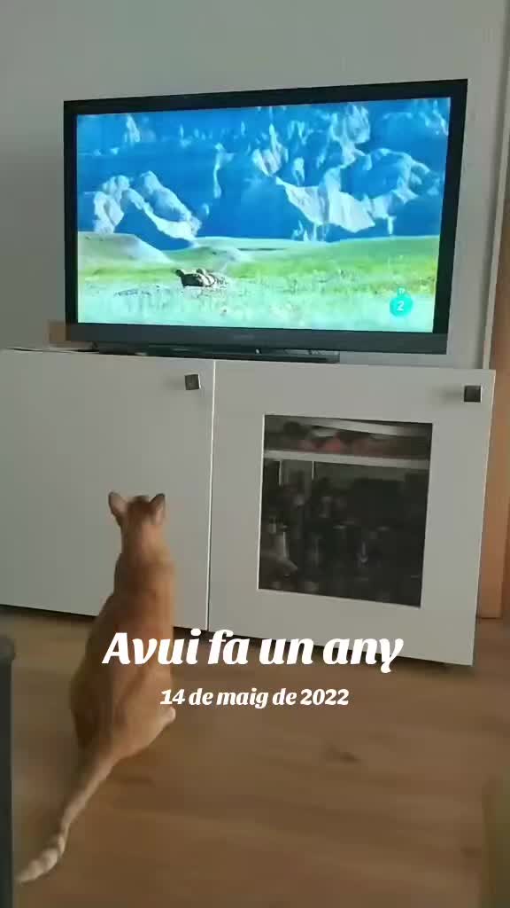 @Mon