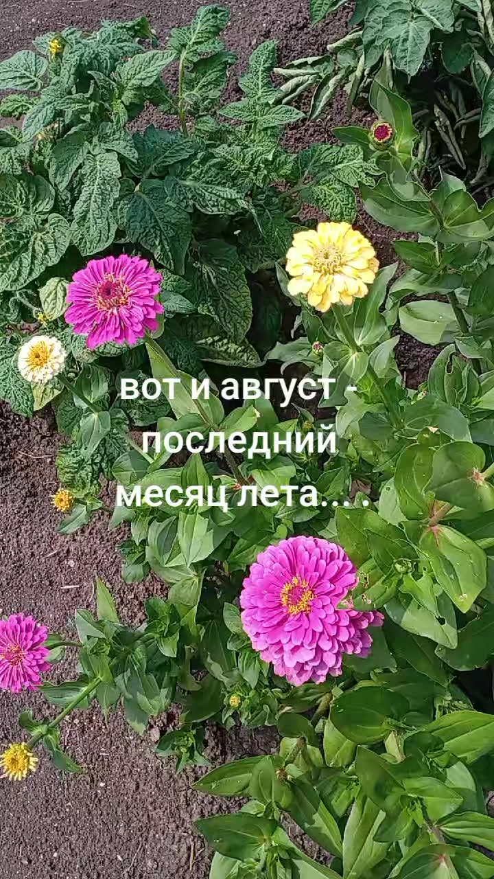 @Галина