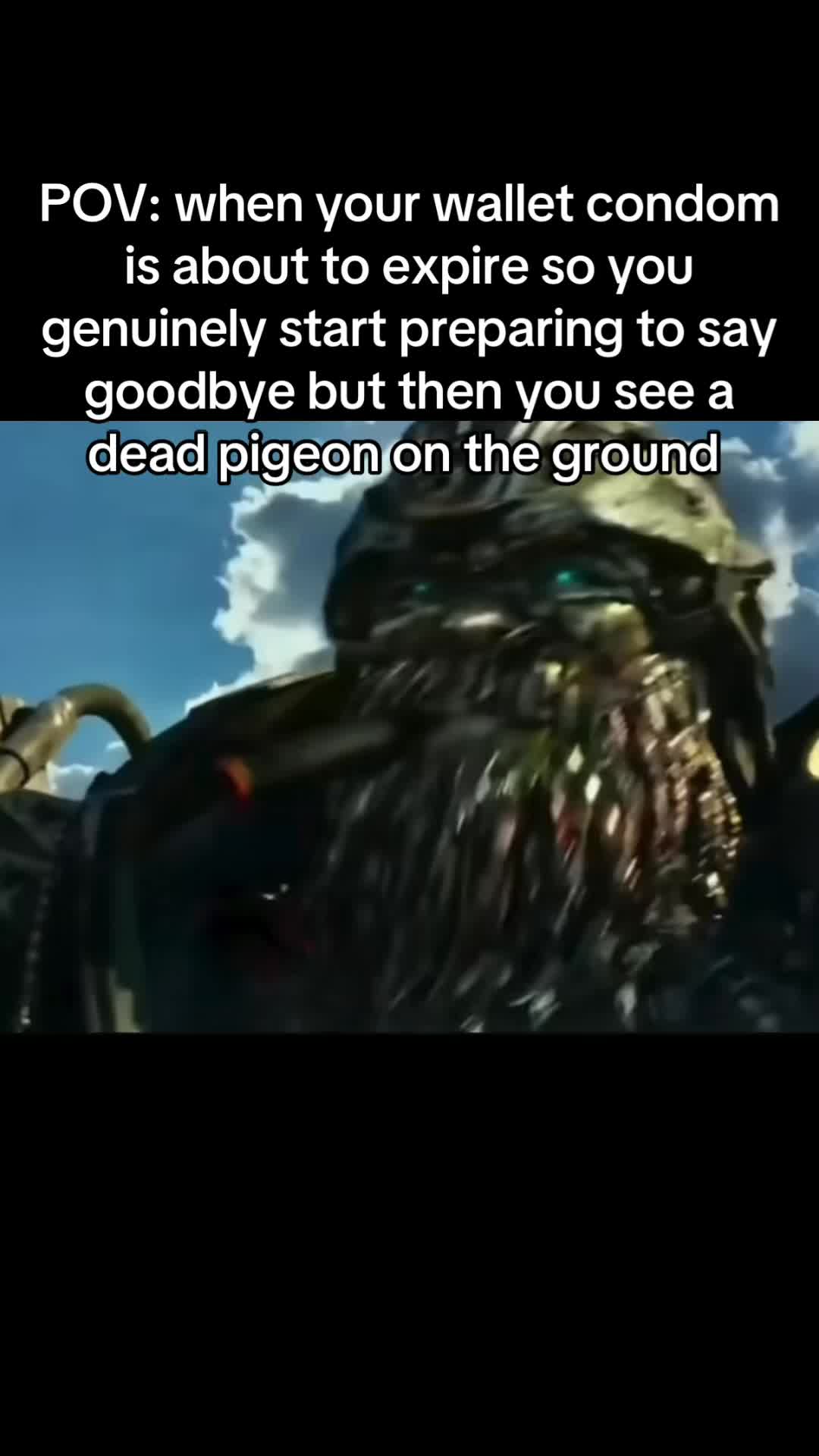 @_zugga_