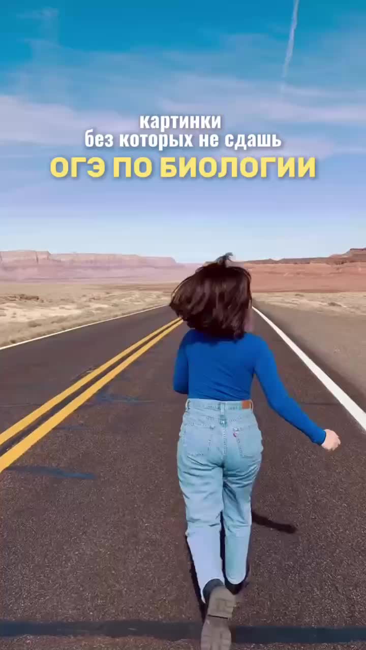 @Алёна Бриз