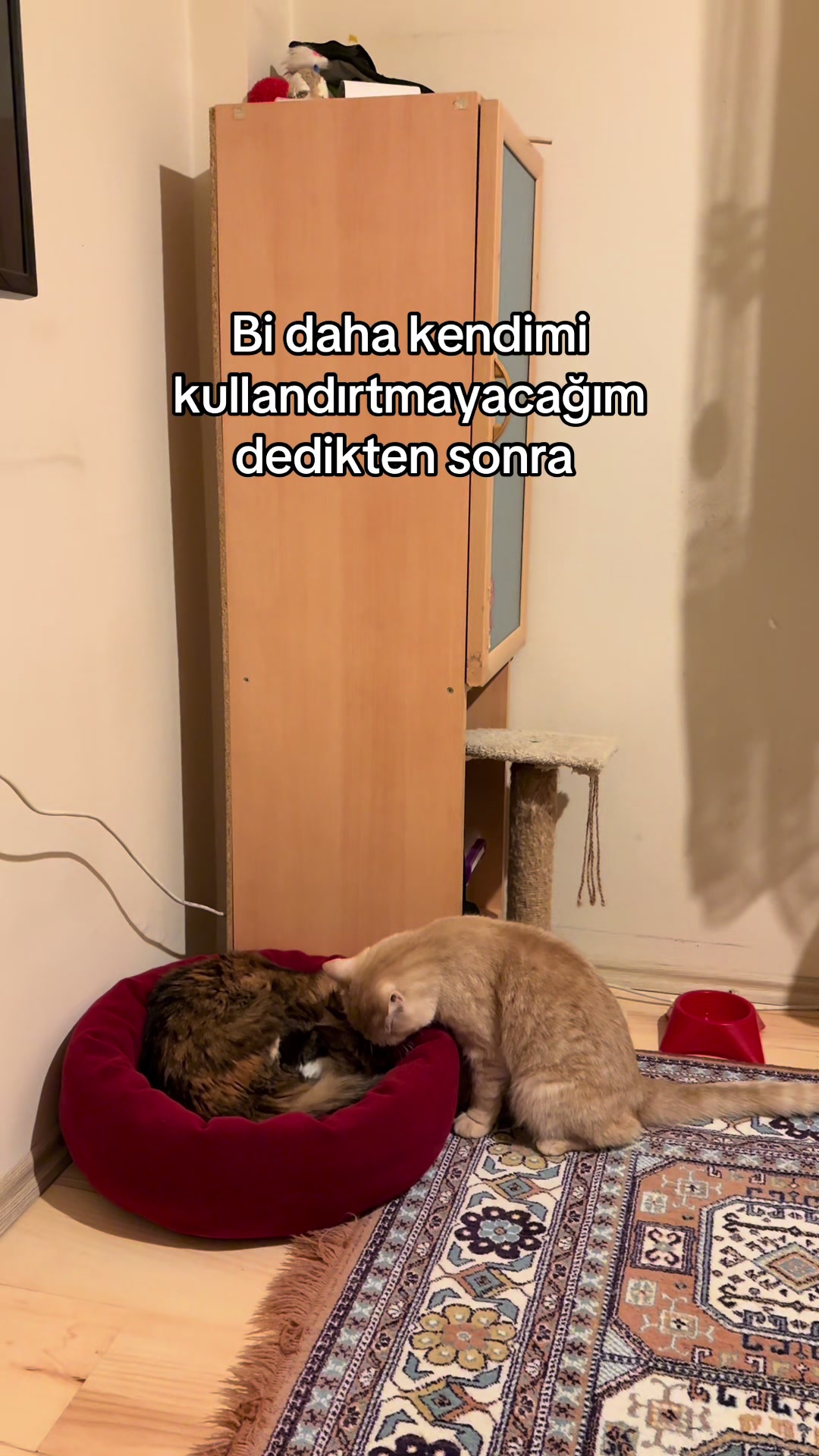 @Ebru Manay