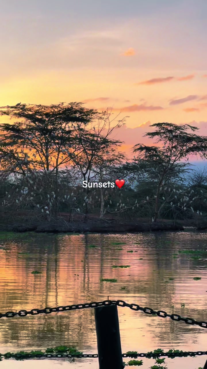 @Adventures By Queen