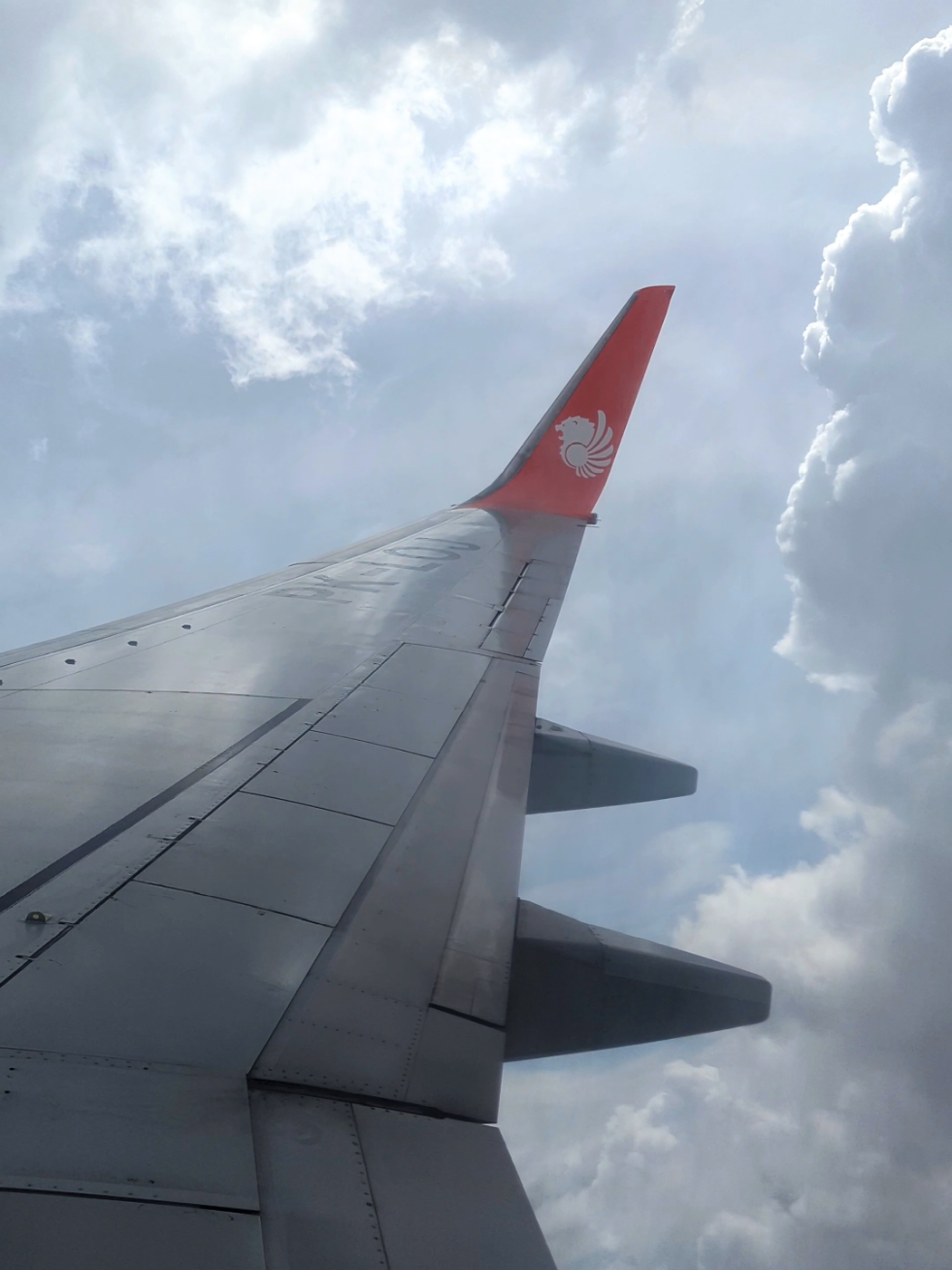 @Flying Nomad