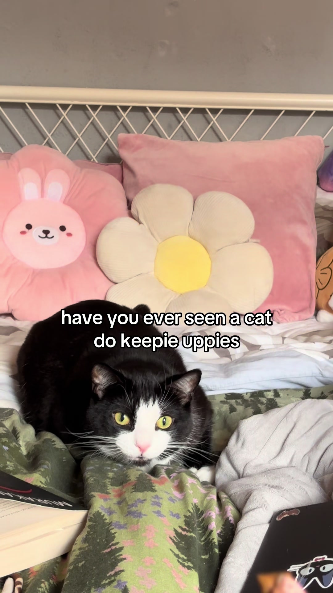 @fianna