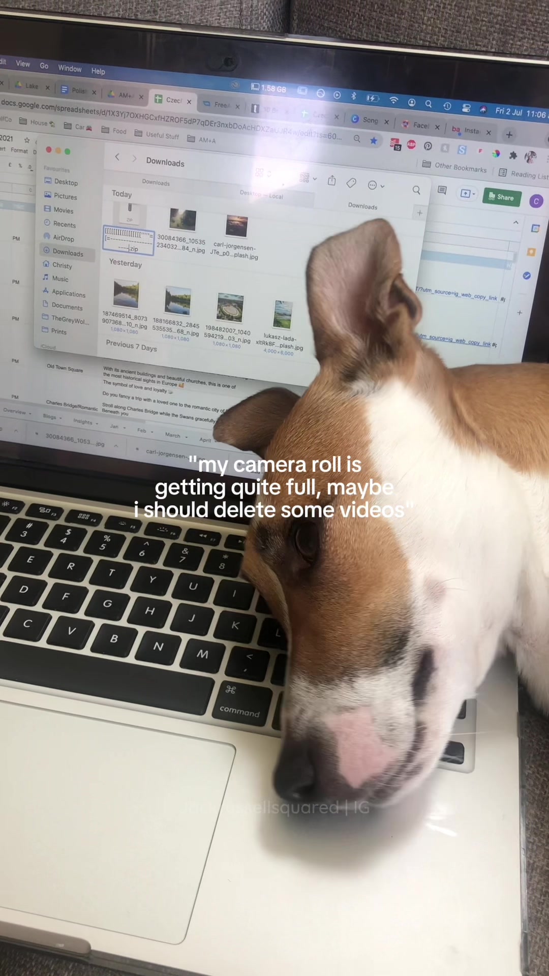 @jackrussellsquared