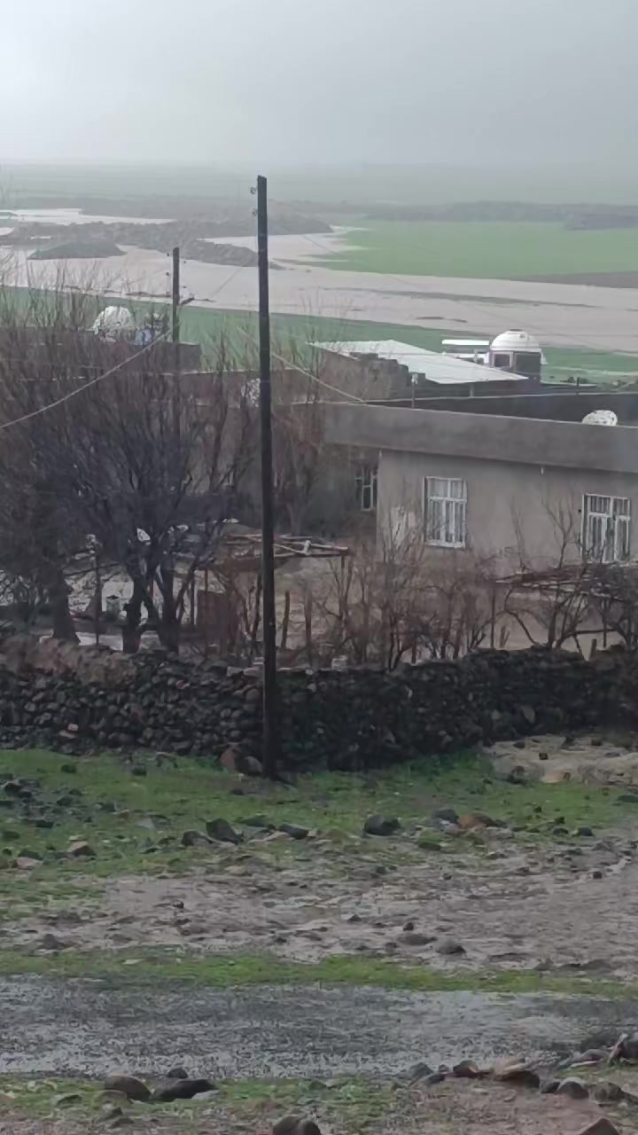 @Mehmet Çimen