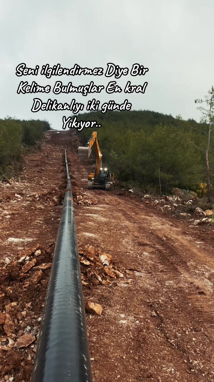 @M&uuml;sl&uuml;m Bozkurt