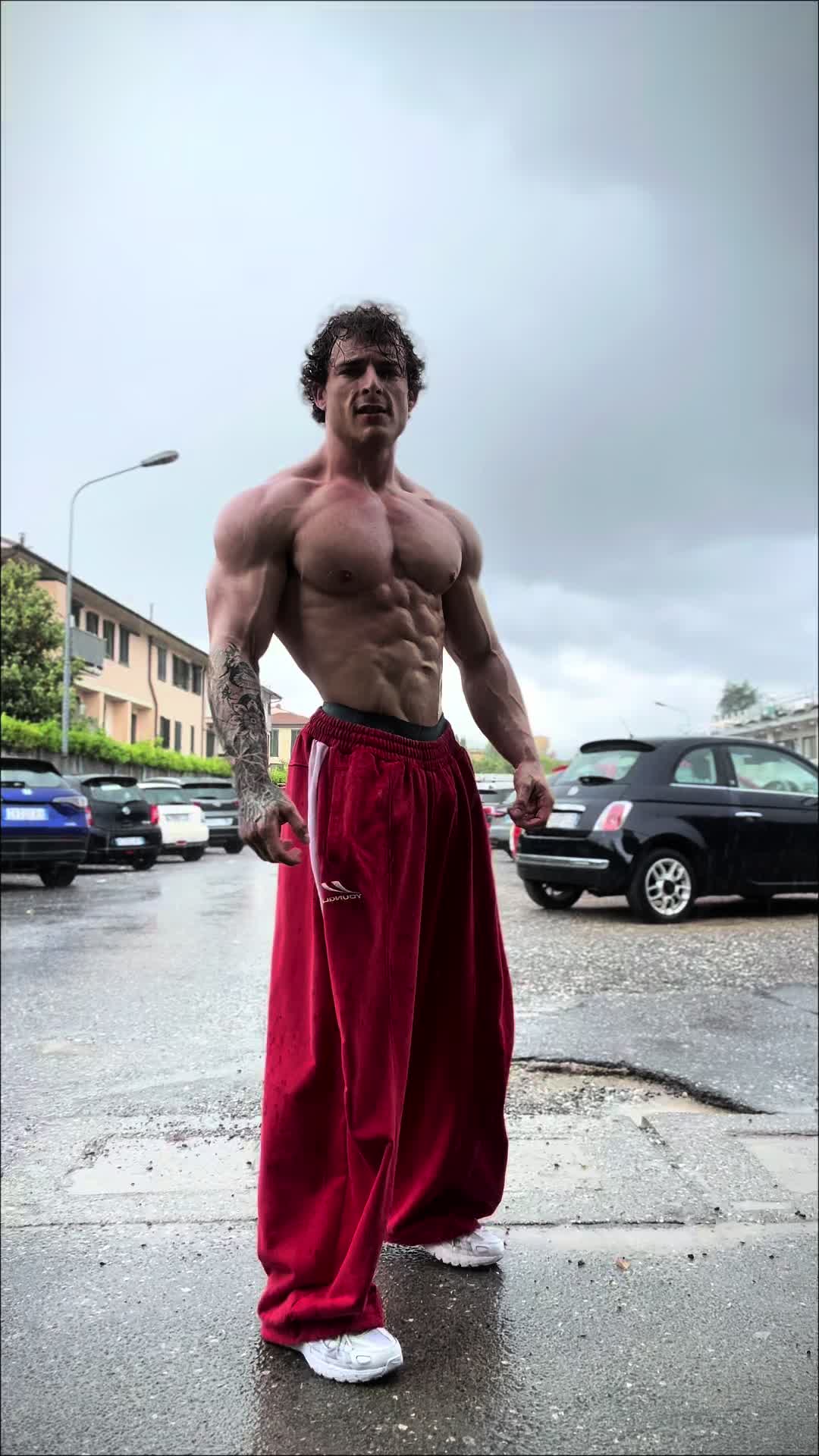 @leospollii