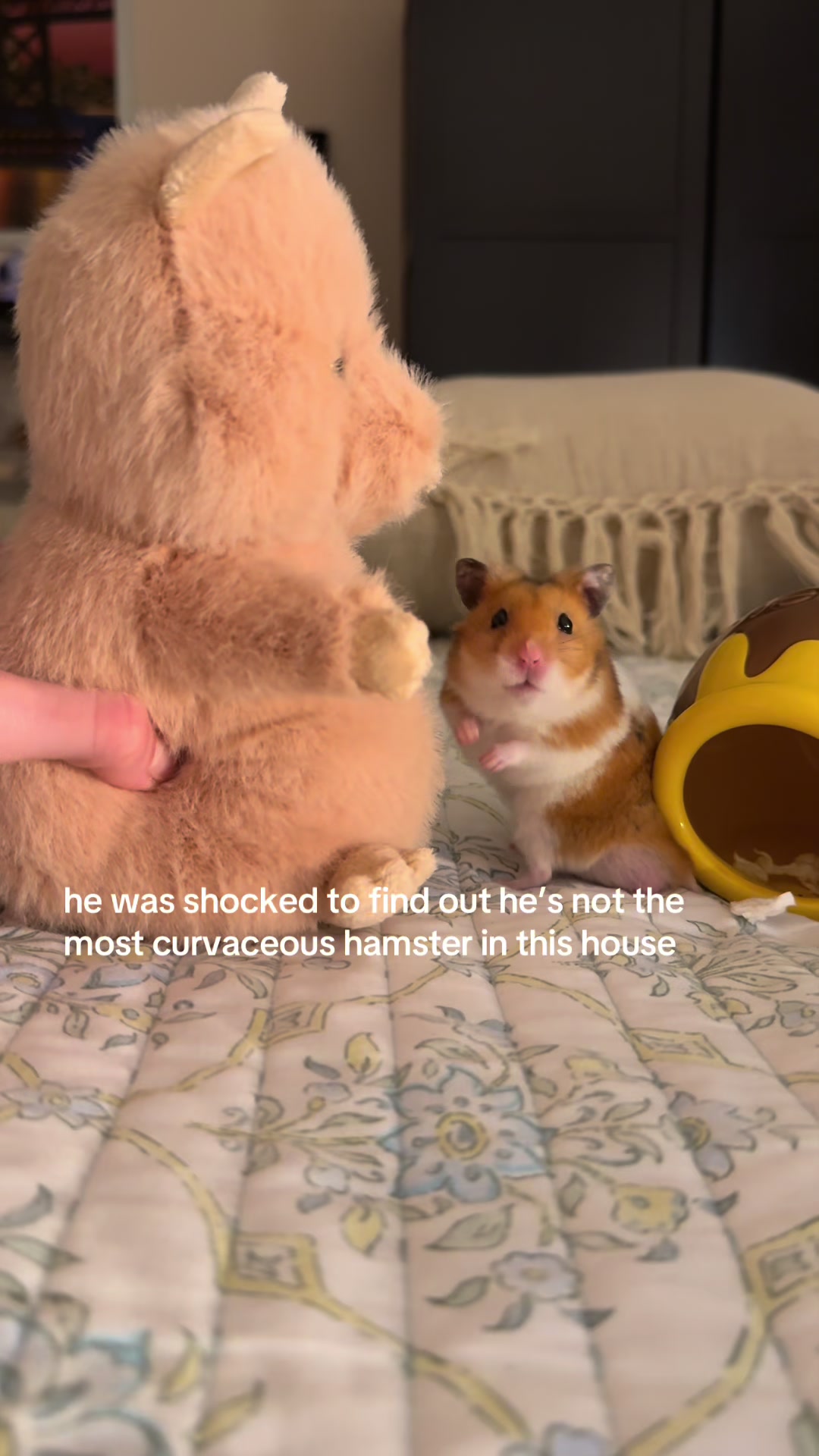 @hamsterwlw