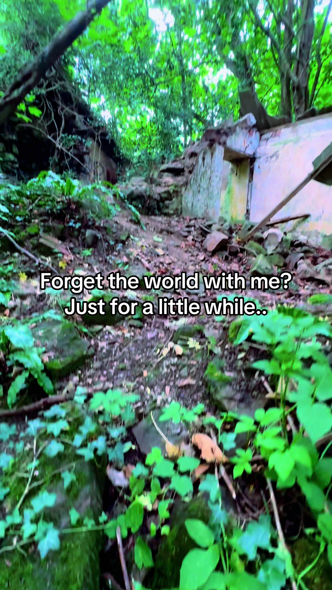 @GothicBratX