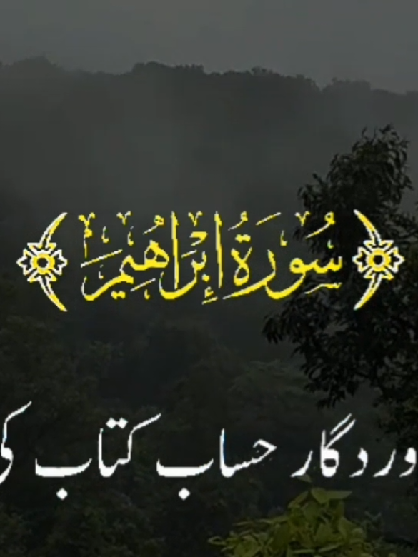 @❤️ALLAH Aalmin❤️