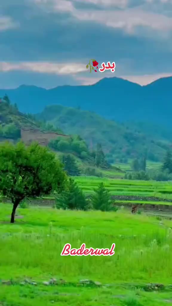 @꧁وزیرستان کا شہزادہ꧂