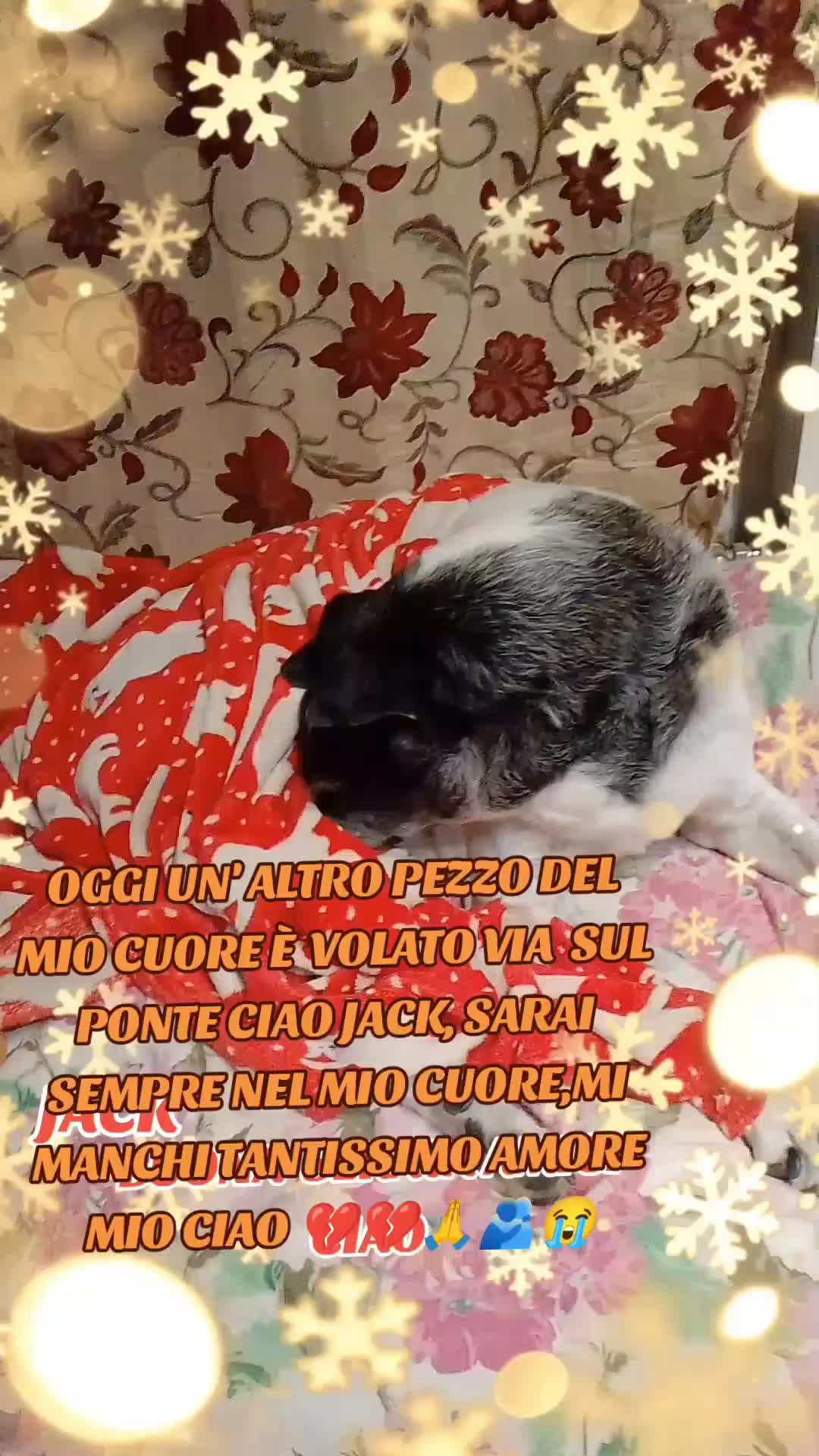 @Francesca Sciurti