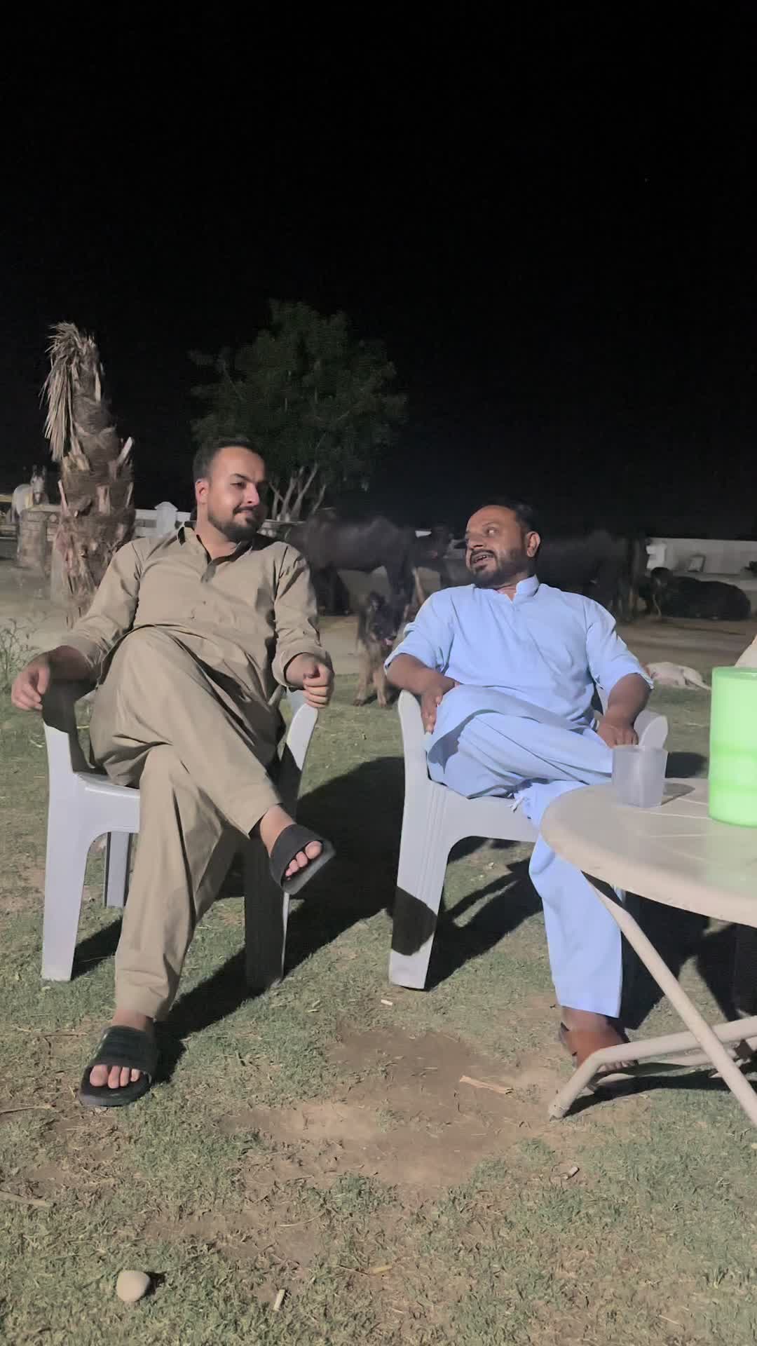 @Ammar Tariq Guliana