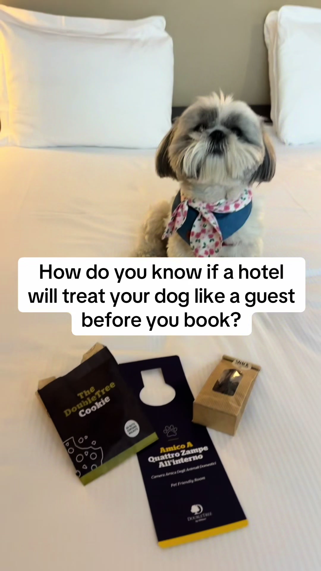 @Daisy | The Dog Travel App