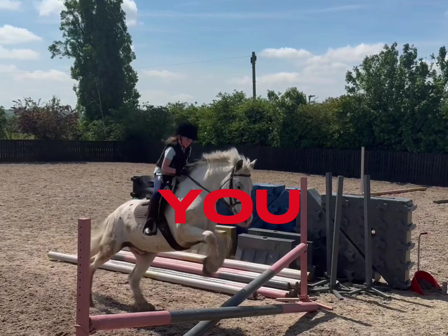 @LottiesHorseAdventures🦄🐴