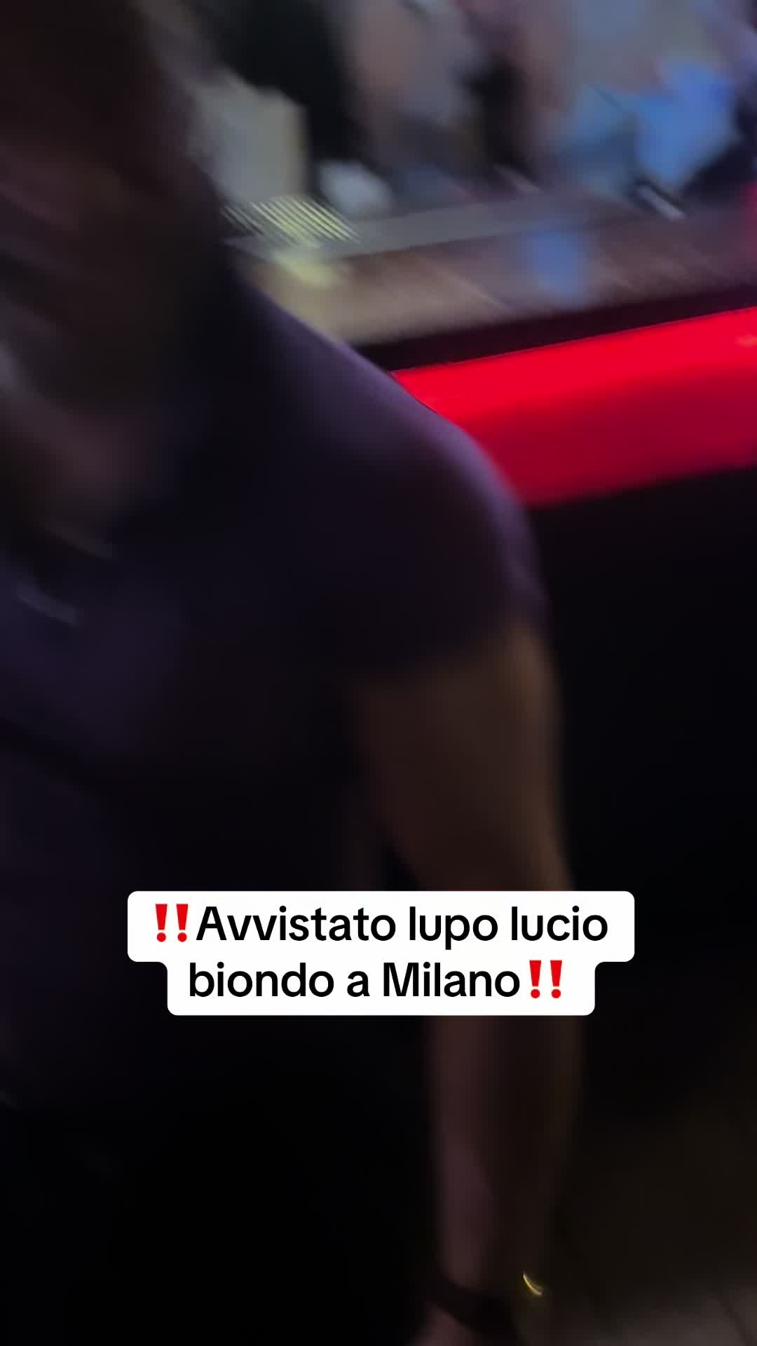 @Laura Venturi