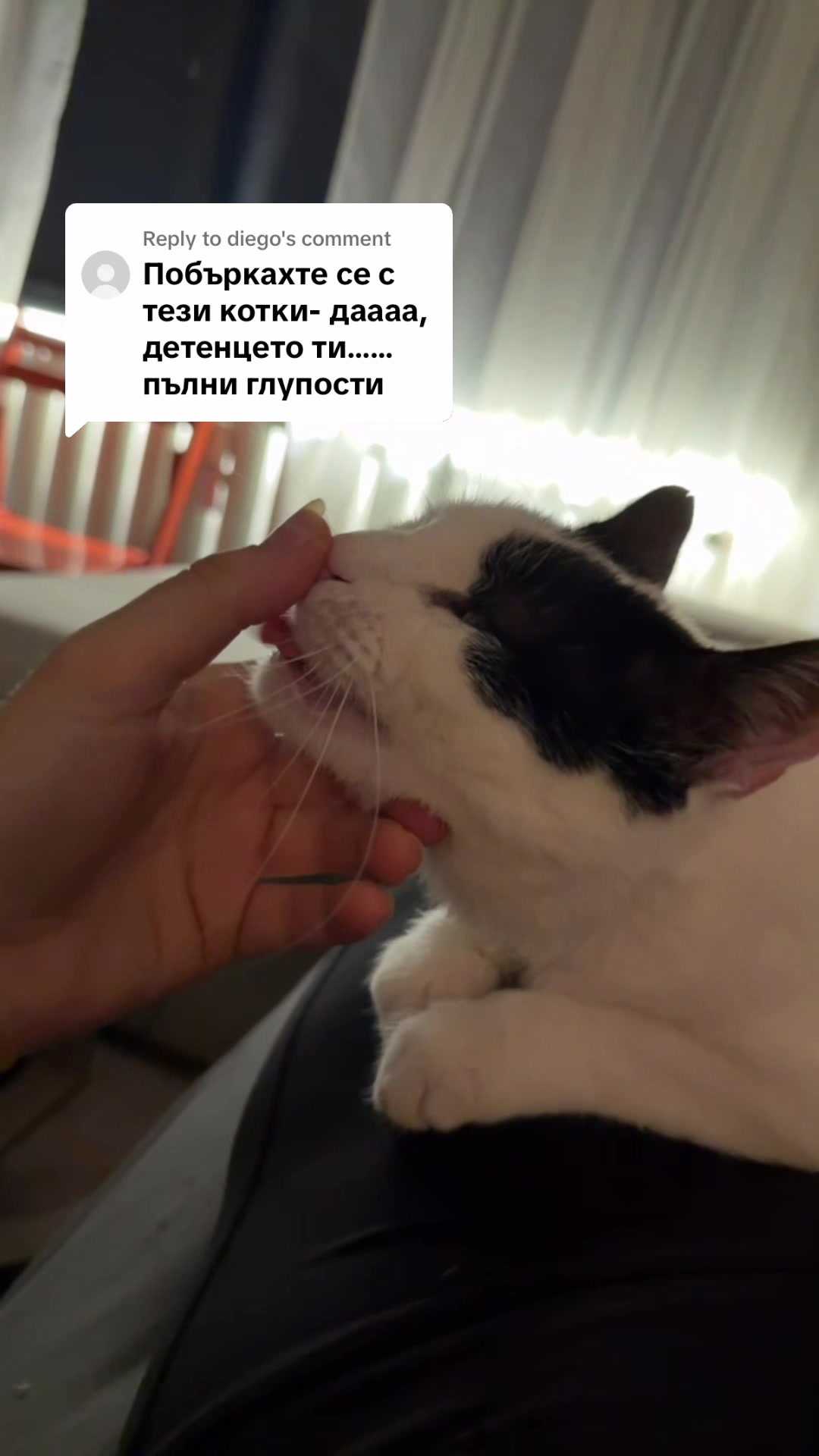 @Teodora Marcheva Dodo