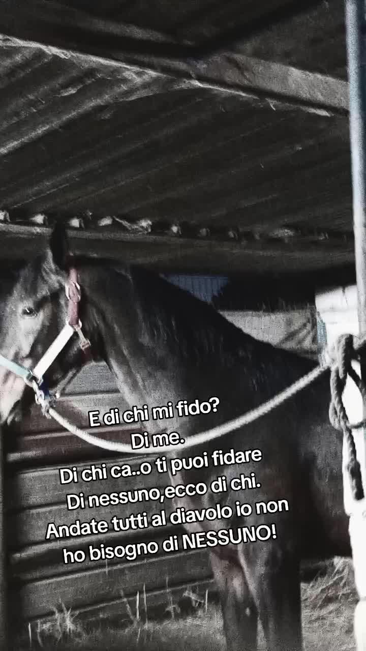 @rocco letizia ⚜️🐴