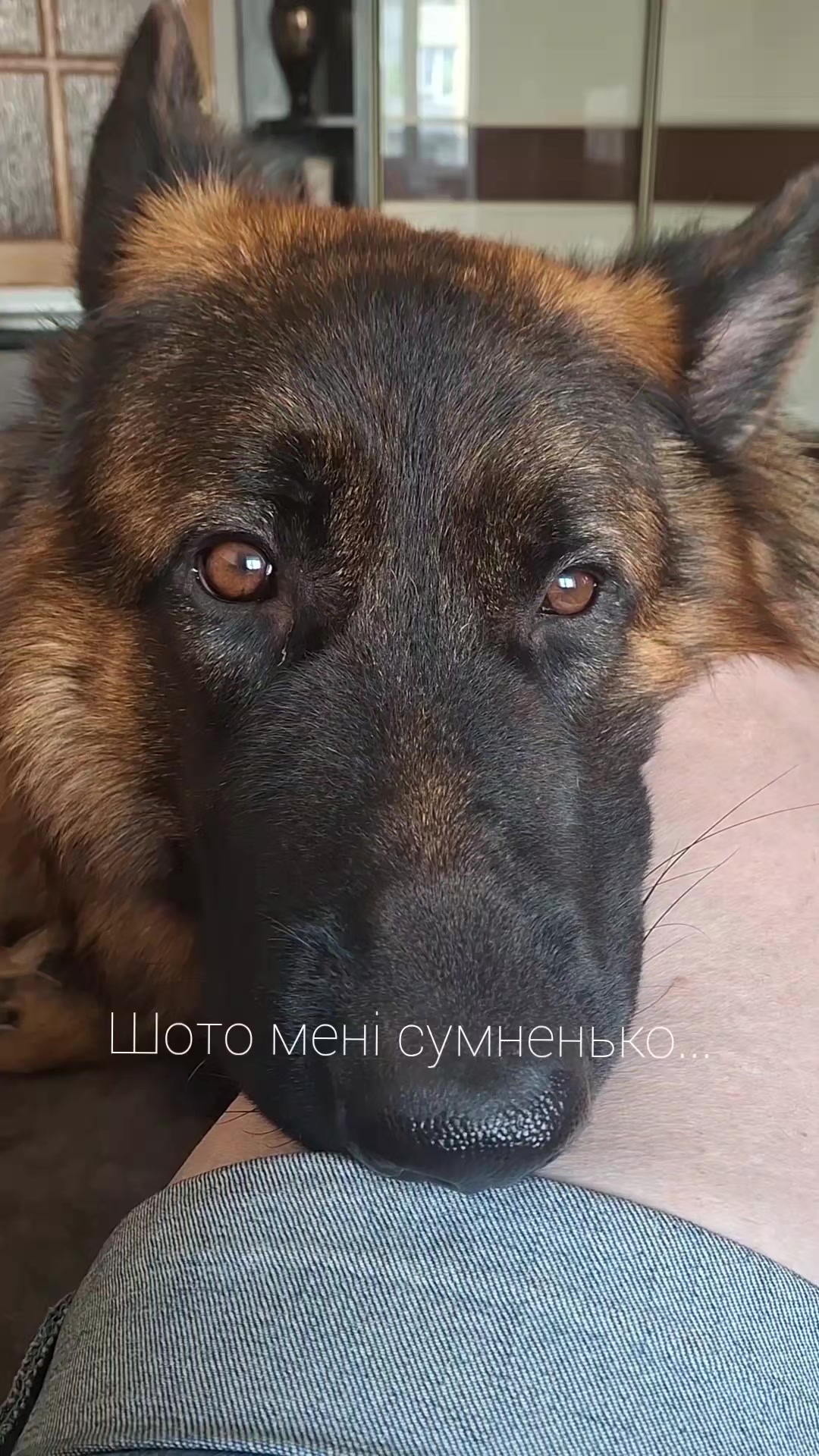 @МАТЬ ДРАКОНІВ🤣