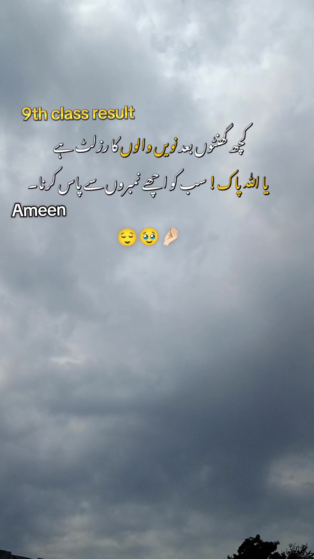 @Khalil Bhutta