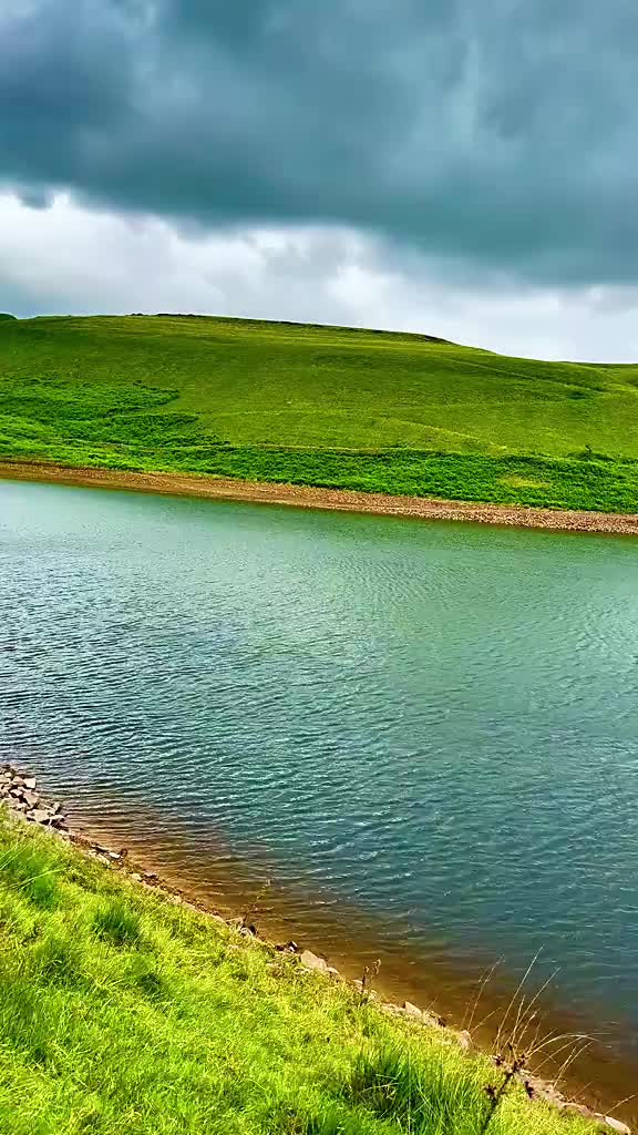 @Nature lover