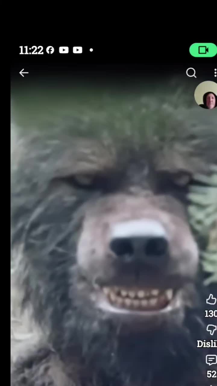 @wayneljenkins72000