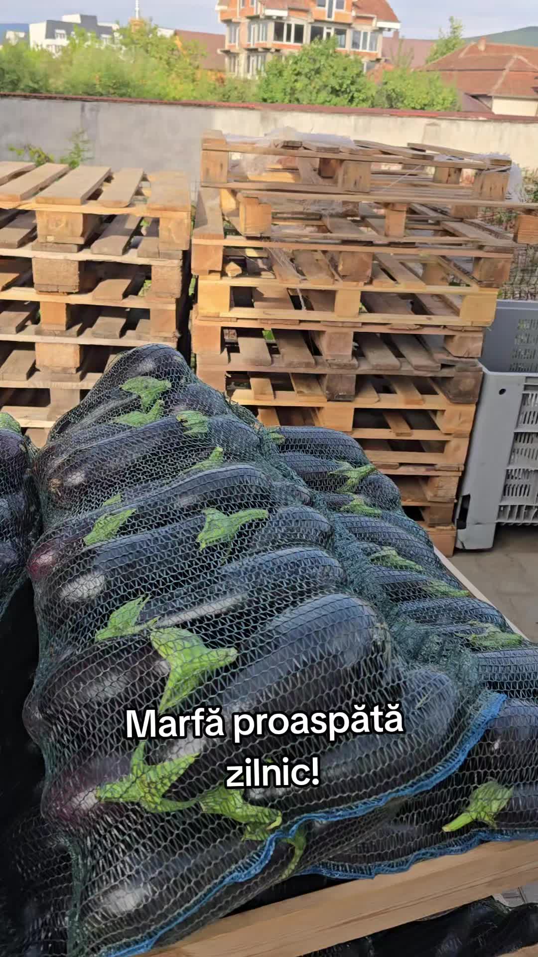 @Faze Farm