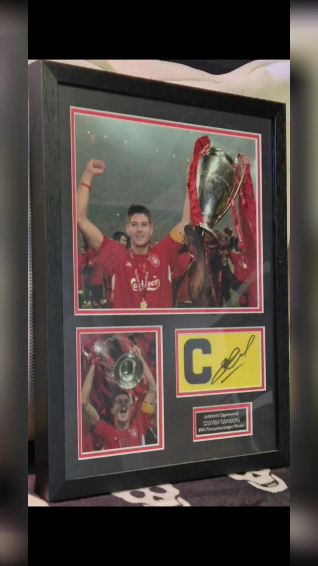 @ellboycardcollector