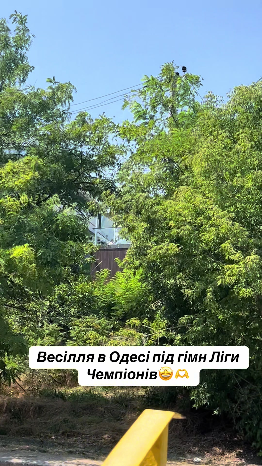 @Василь 🐱