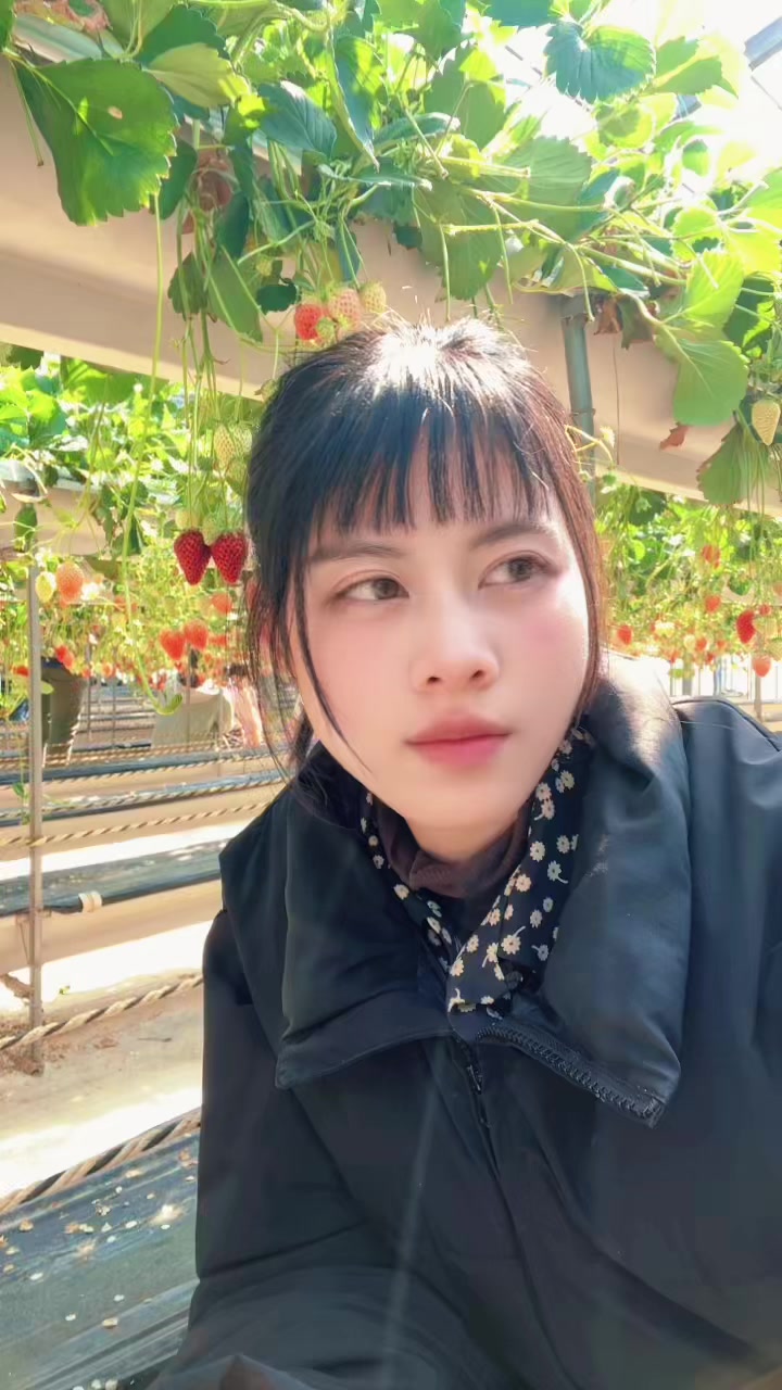 @man 🇻🇳🎌