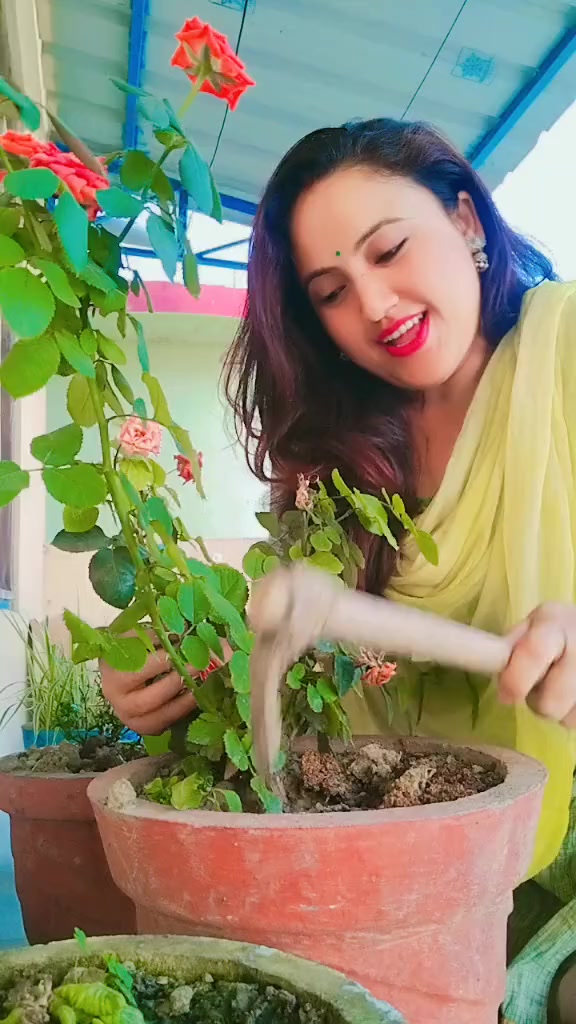 @Meera&hearts;️Abhi( From Bardiya )
