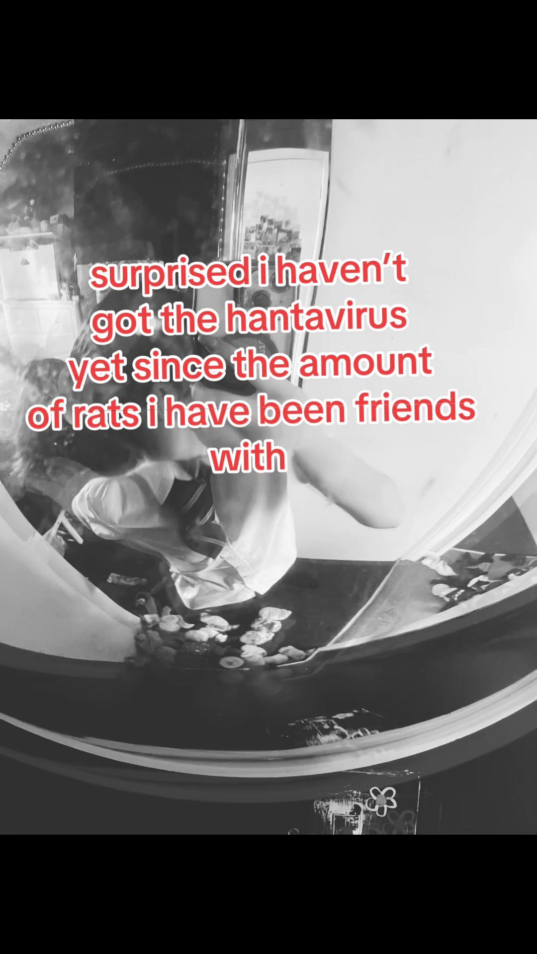 @Dotty