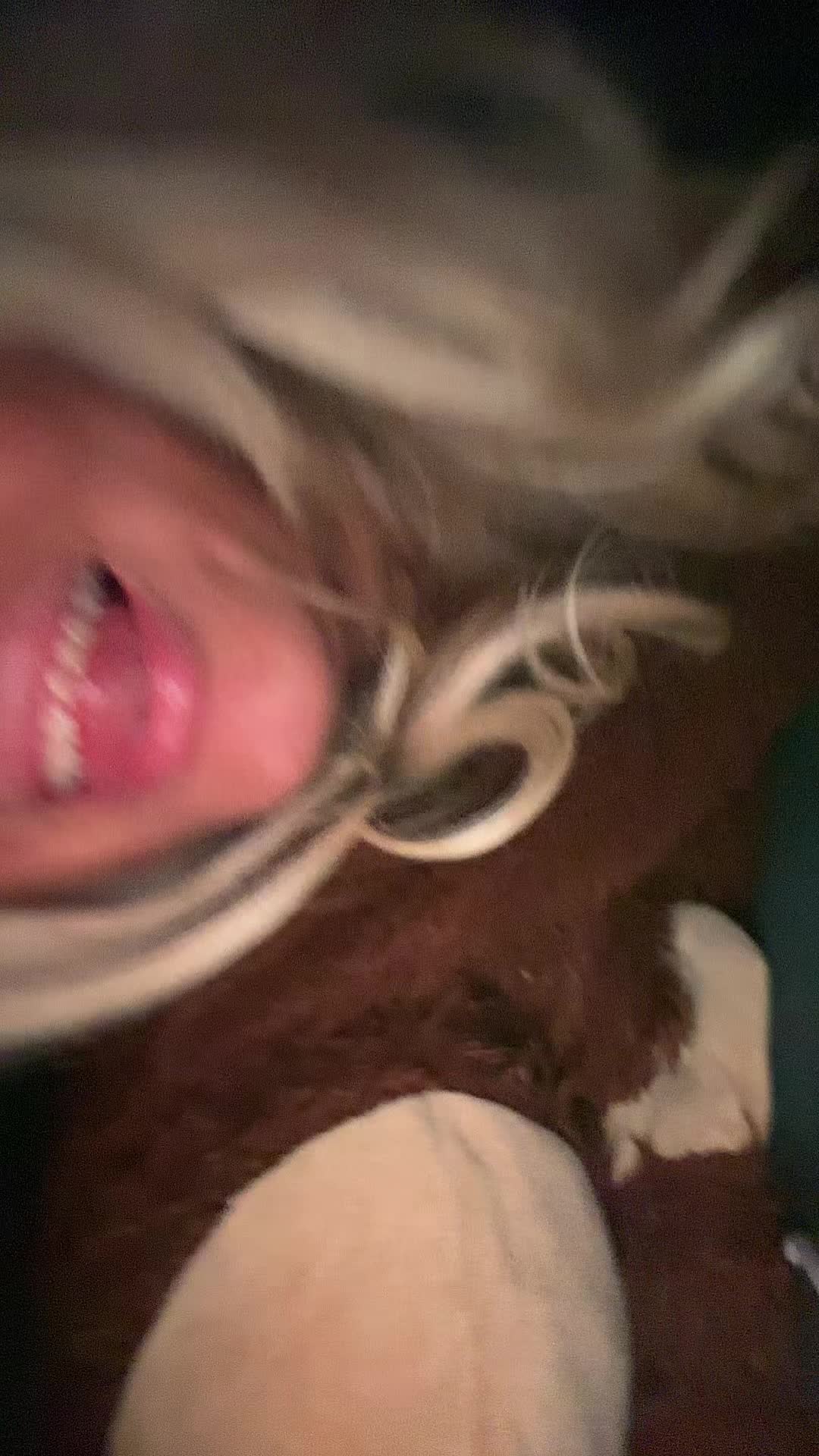 @ella