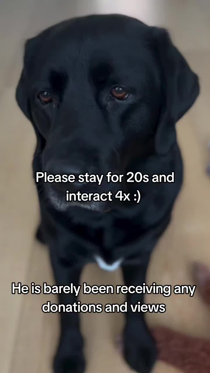 @pakrasj08