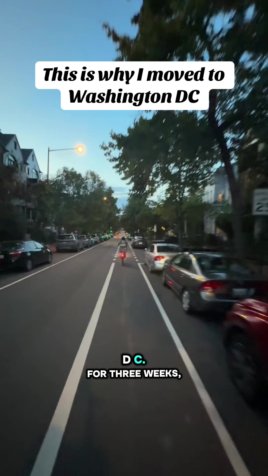 @Tash | DC