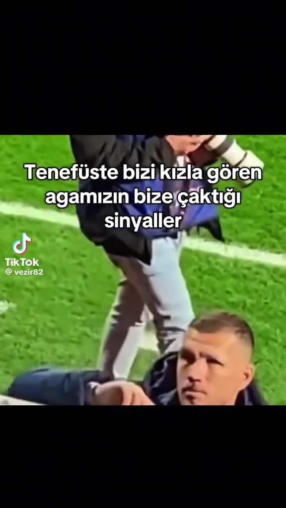 @belli belli ellii