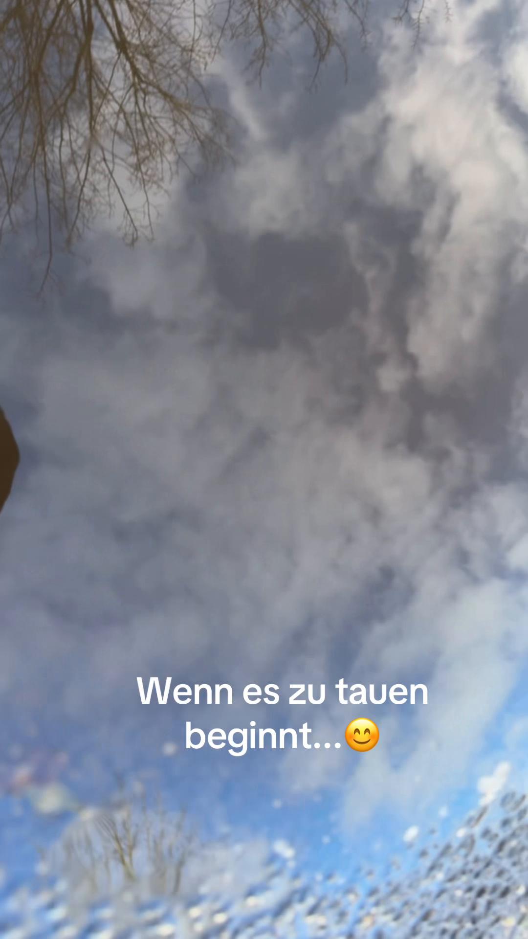 @timosblickfang