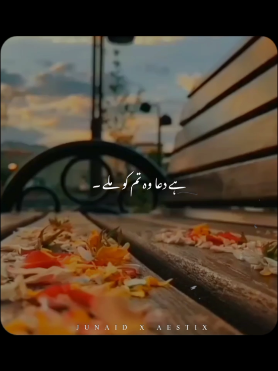 @𝙅𝙐𝙉𝘼𝙄𝘿 𝙓 𝘼𝙀𝙎𝙏𝙄𝙓