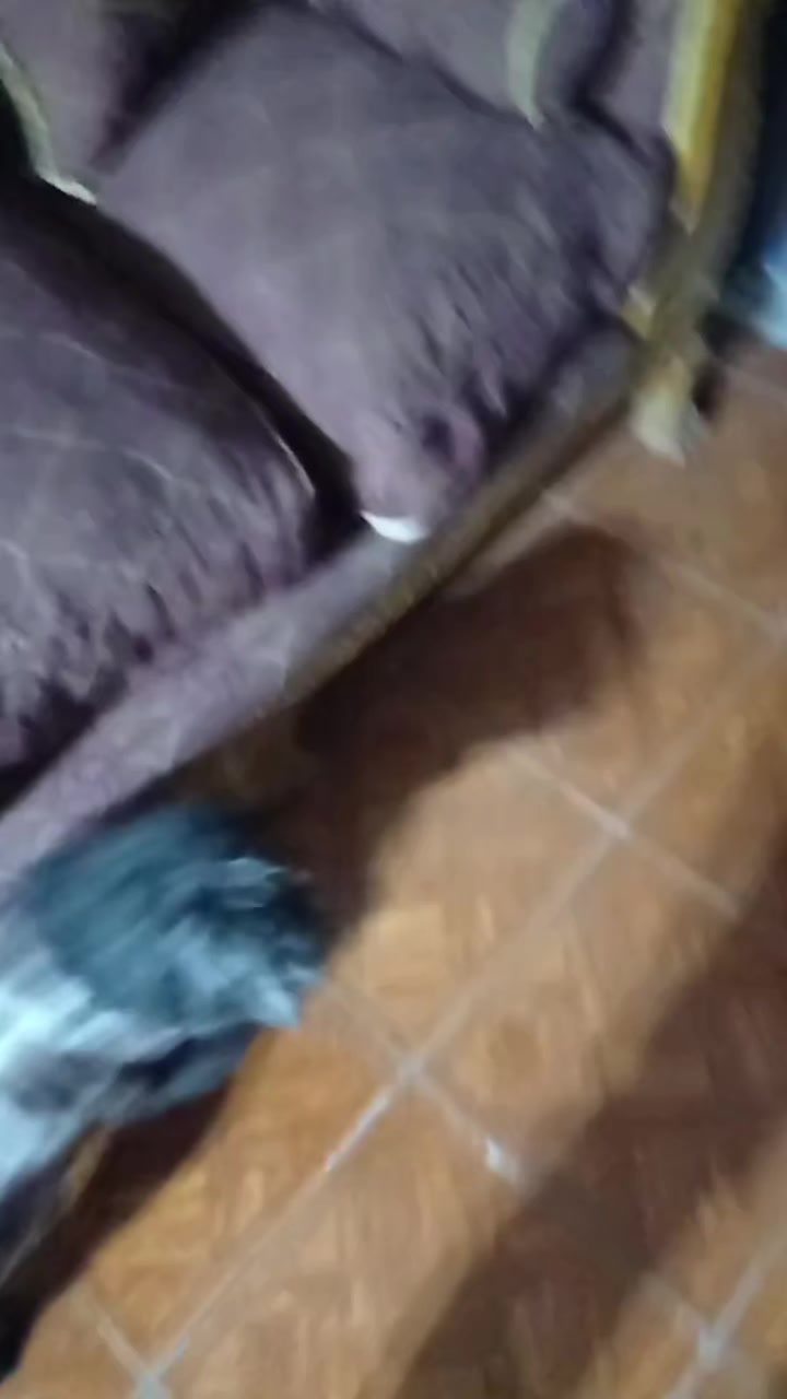 @Seto02