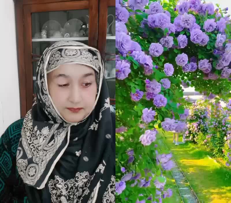 @Rukhsana kausar