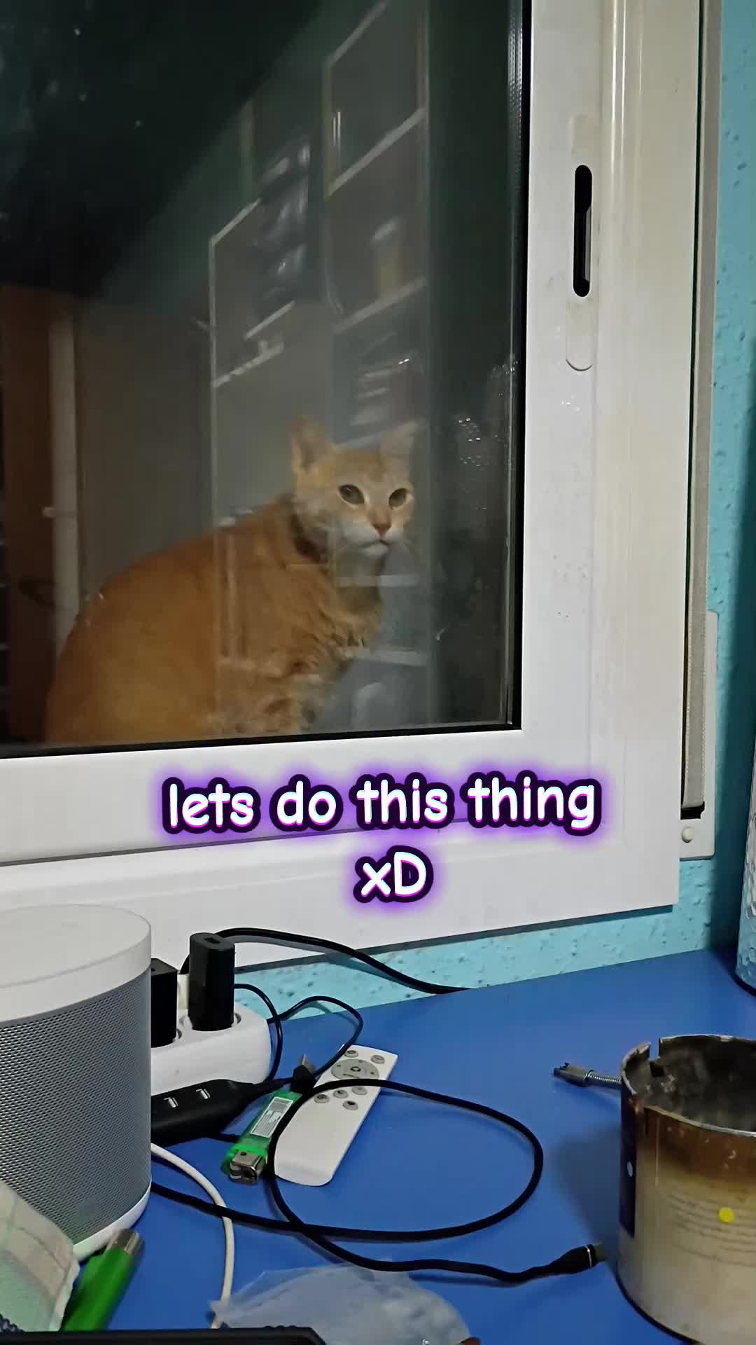 @Mon