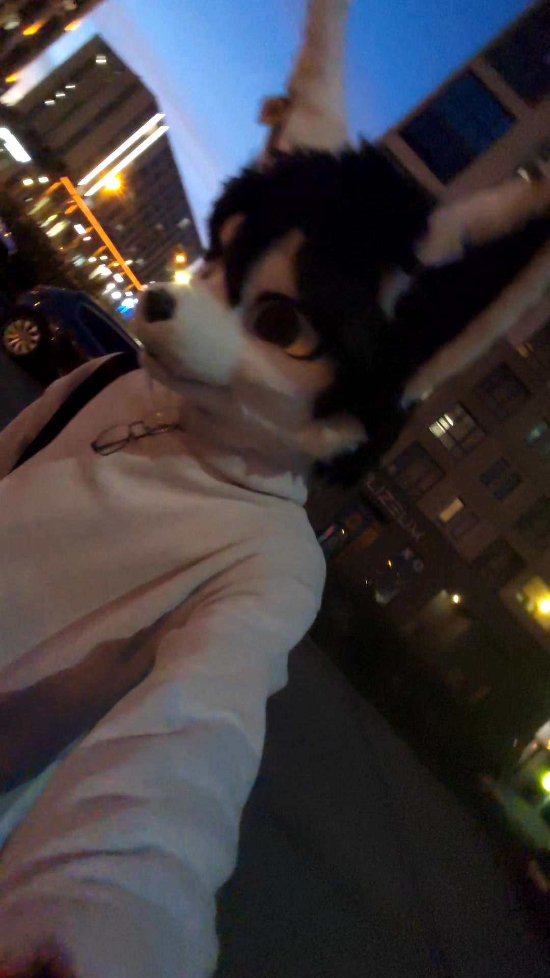 @PHAYCON