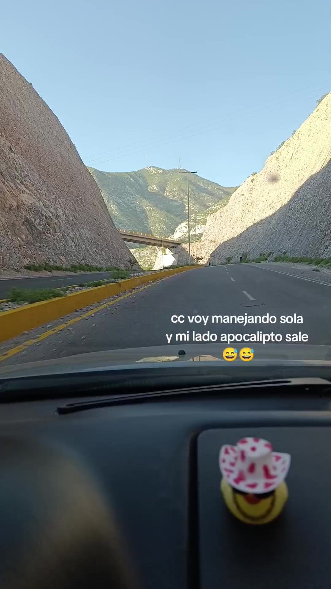 @chicabi.potter