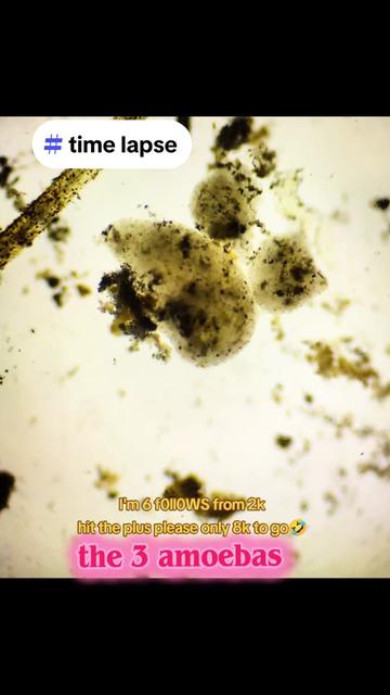 @Smeee❌microscope🏴󠁧󠁢󠁥󠁮󠁧󠁿