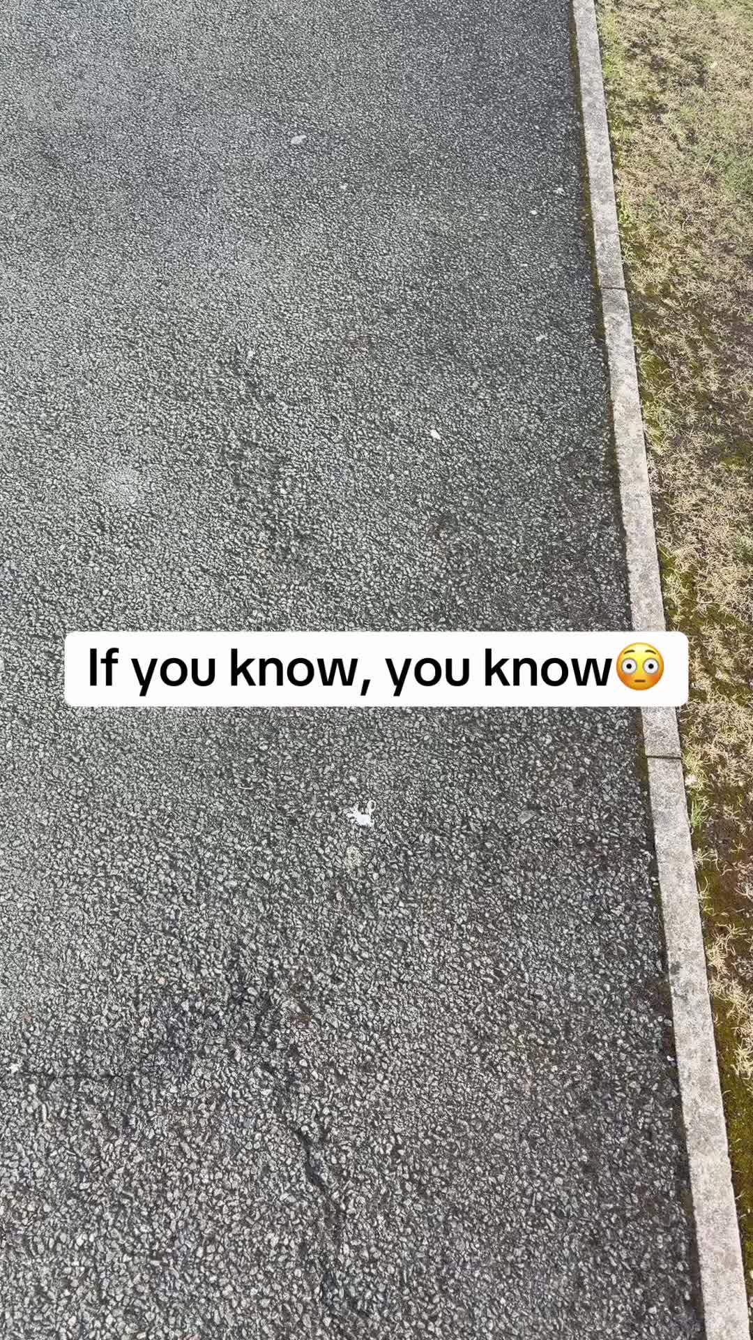 @Tomz🐏