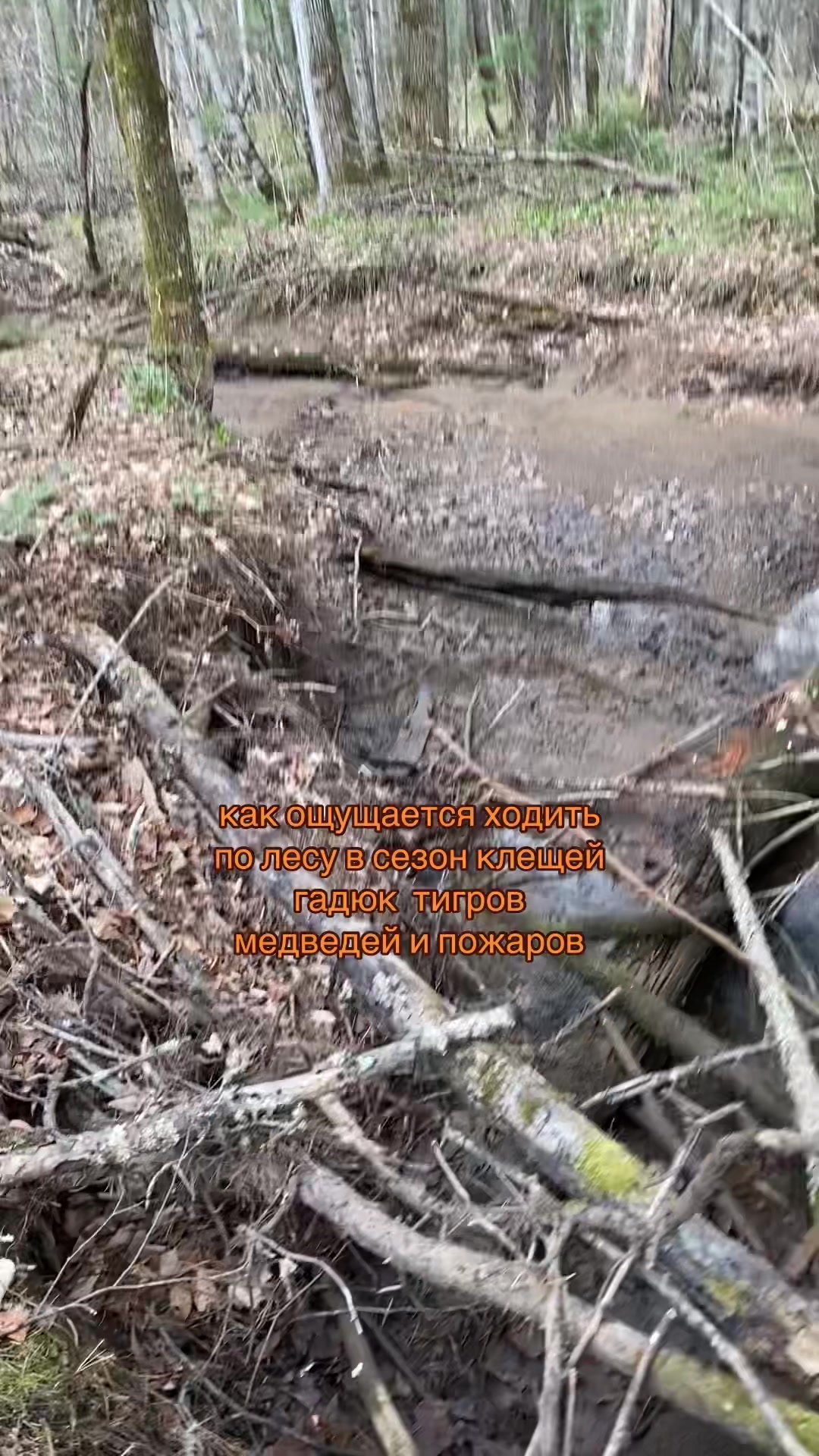 @спираль щи жих