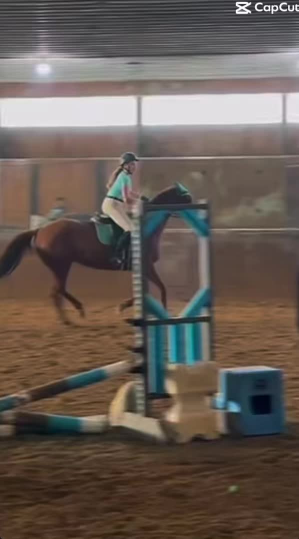 @keriashorse_spammmm