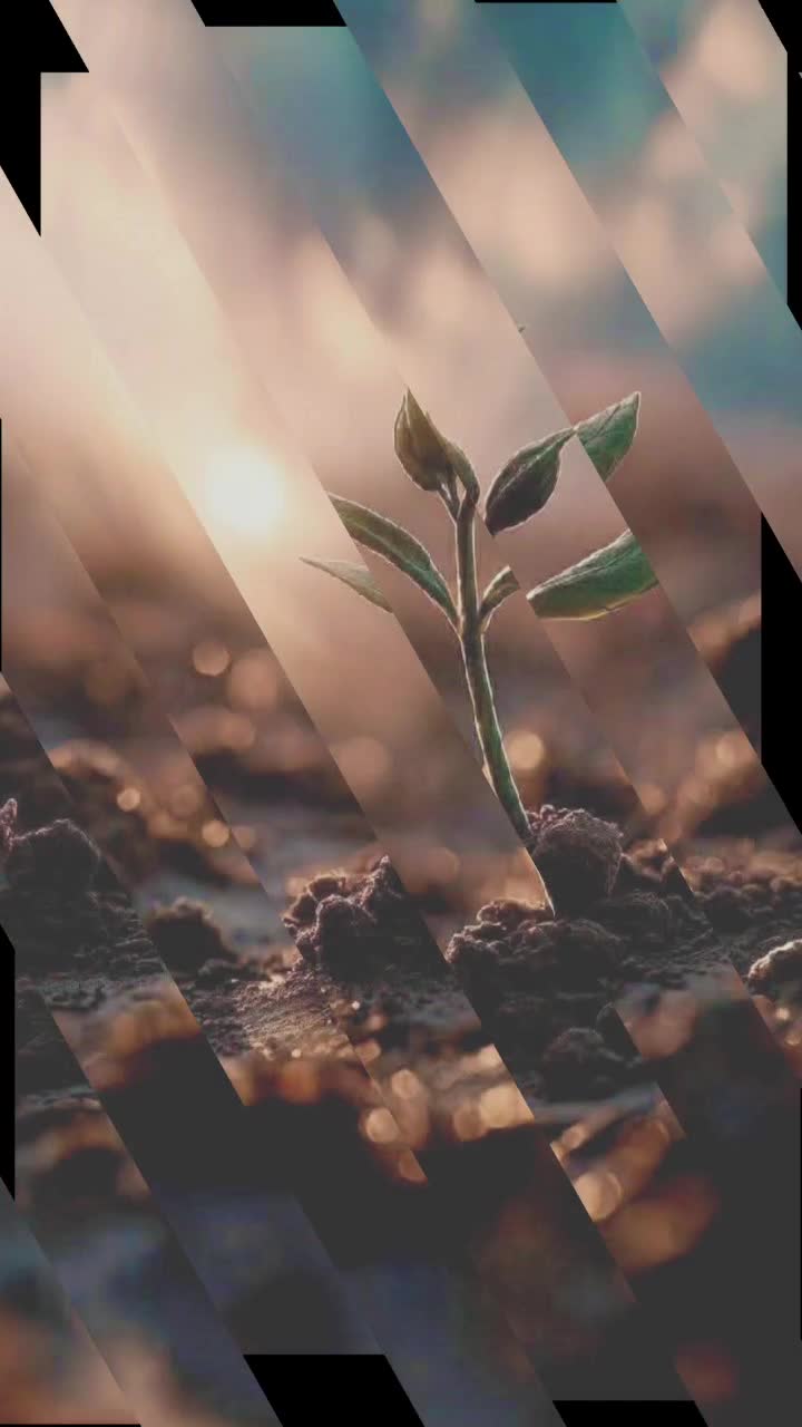 @🍁Ɱ&sigma;ɳ&alpha;🍁